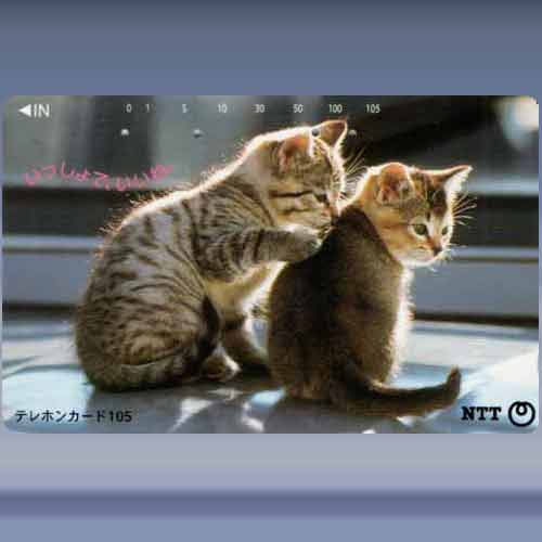 katten 4501